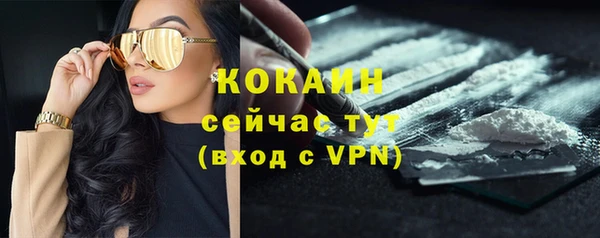 мяу мяу мука Алексин