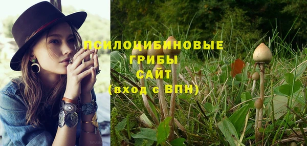 ешки Абдулино