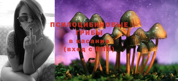 спиды Алексеевка