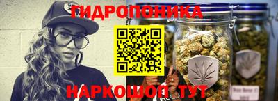 твердый Брянск