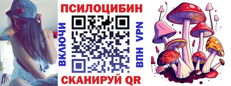 Галлюциногенные грибы MAGIC MUSHROOMS  Богородск 