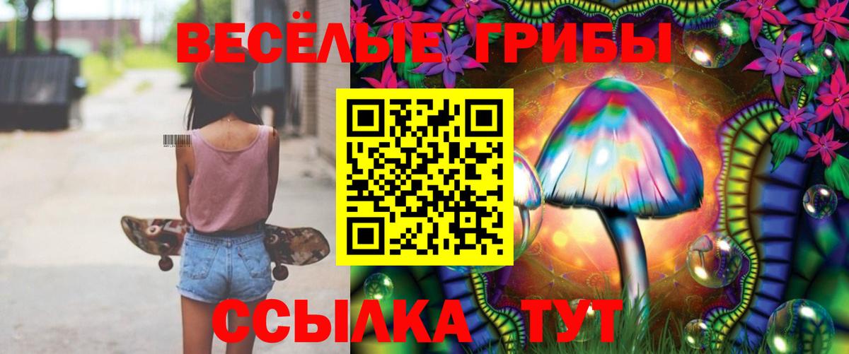 наркошоп  Псилоцибиновые грибы GOLDEN TEACHER  Богородск  Вход с VPN  Псилоцибиновые грибы Cubensis 